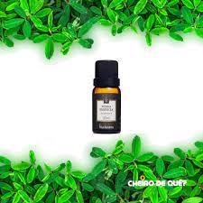ESSENCIA VIA AROMA 10ML CLASSICA NOSSA ESSENCIA
