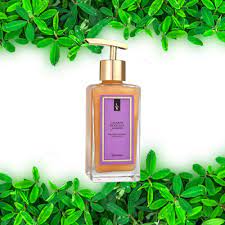 SABONETE LIQ DESOD. 250ML LAVANDA FRANCESA PROVENCE