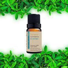 OLEO ESSENCIAL 10ML FUNCHO