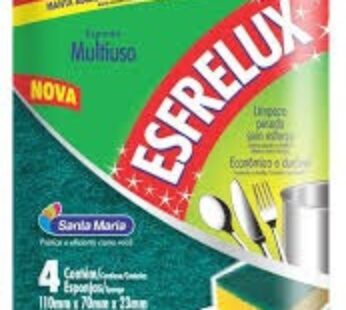 ESPONJA ESFRELUX LEVE 4 E PAGUE 3