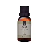 ESSENCIA HIDROSSOLUVEL 30 ML ALECRIM  SILVESTRE